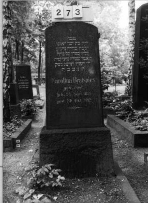 Grabstein 273