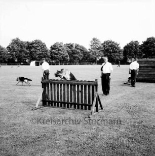 Volks- und Heimatfest: Veranstalter Heimatring: Stormarnplatz: Vorführung mit Polizeihunden und Schutzhunden: Schäferhund überspringt Hinternis, 24. Juli 1965