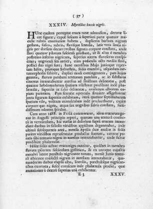 XXXIV. Myrtillus, baccis nigris