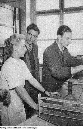 Wohnungsbau - Böhlen, VEB Kombinat Böhlen, Unterricht, November 1950