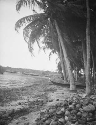Strand auf der Insel Mactan : Ansicht mit Boot unter Palmen