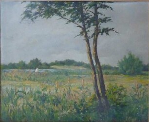 unbenannt [Märkische Seenlandschaft mit Segelboot]