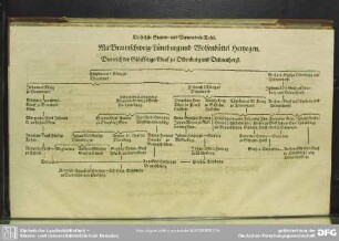 Die sechste Stamm- und Verwandnis-Tafel. Mit Braunschweig, Lüneburg und Wolfenbüttel Hertzogen