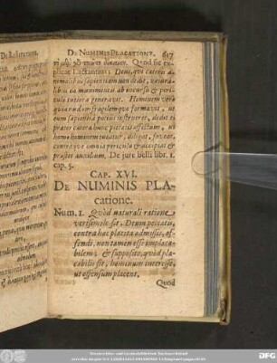 Cap. XVI. De Numinis Placatione.