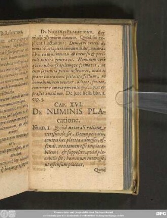 Cap. XVI. De Numinis Placatione.