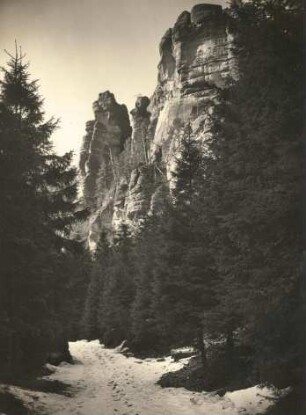 Elbsandsteingebirge. Großer Zschand. In den Weberschlüchten. Blick zum Fensterturm