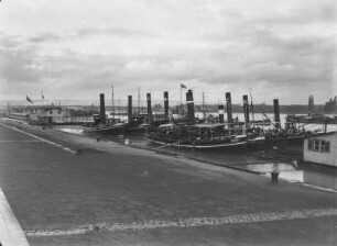 Mainz, Hafen : Mainz. Hafen. Schleppdampfer (Dordrecht, Pro et Cientra, von Caprivi, Goliath) an der Anlegestelle