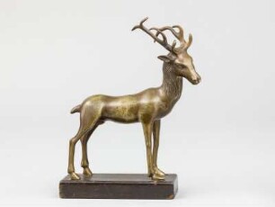 Hirsch