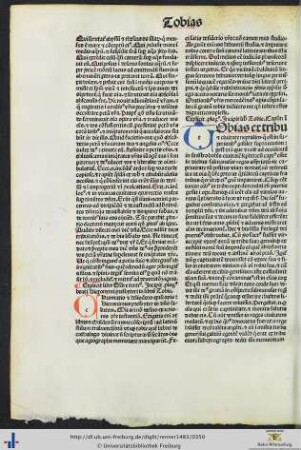 Prologus beati Hieronymi presbyteri in librum Tobie