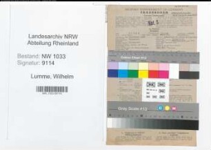 Entnazifizierung Wilhelm Lumme , geb. 26.09.1899 (Polizeibeamter)