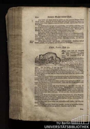 Cap. 54. Otter, Lutra.