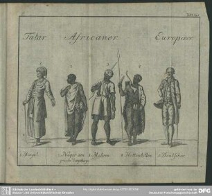 XIII. Taf. Tatar, Africaner, Europaeer