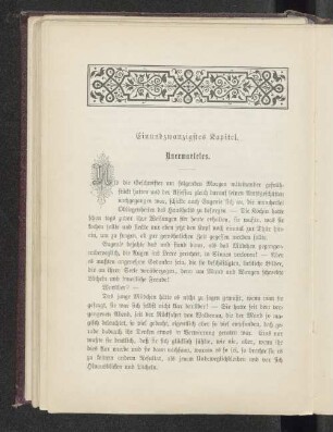 Einundzwanzigstes Kapitel. Unerwartetes.