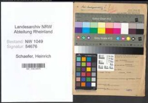 Entnazifizierung Heinrich Schaefer , geb. 17.11.1906 (Anstreichermeister)