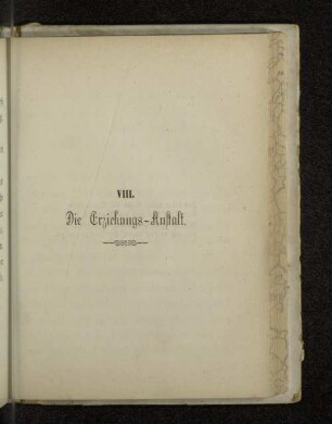 VIII. Die Erziehungs-Anstalt.