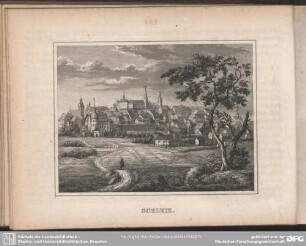 SCHLEIZ