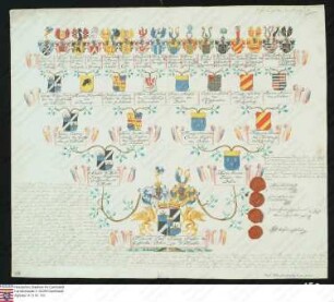 Ahnenprobe des Friedrich Carl Franz v. Greiffenclau z. Vollrads. - ausgefertigt 1784 September 13 und 1777 Februar 15, Pergament