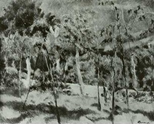 Sommerlandschaft