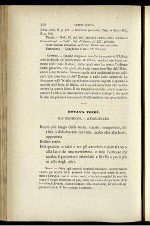 Ottava Tribù. Gli Erodioni. - Herodiones.