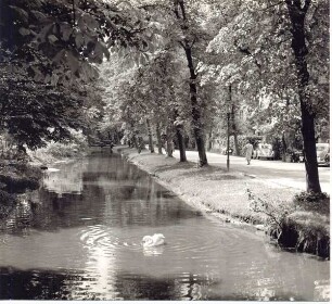 Friedrichstaler Kanal, Detmold. Allee mit Blickrichtung Obere Mühle