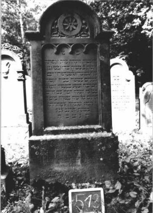 Grabstein 513 (Index: 99895507) Material: Sandstein Zustand: sehr gut, Sockel bewachsen Maße HxBxT: 150x57x11 cm Beschreibung: Stele mit eingezogenem Rundbogenabschluss, Verdachung; Sockel Symbolik: Blüte in Rad, Ranken: Grabstein 513 (1)