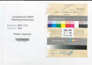 Entnazifizierung Heinrich Walch , geb. 17.12.1898 (Fabrikant)