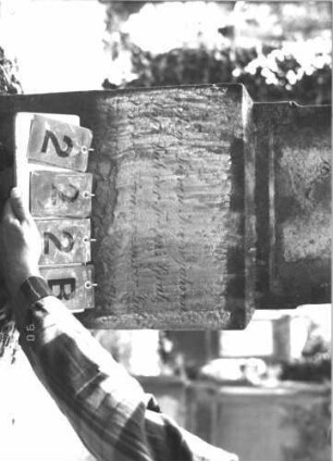 Grabstein 222 (Index: 99788225) Material: Sandstein Zustand: sehr stark verwittert mit sehr großem Textverlust, Aufsatz fehlt Maße HxBxT: 146x44x13 cm: Grabstein 222B