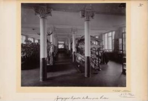 Universität Breslau Zoologisches Institut: Skelettsammlung