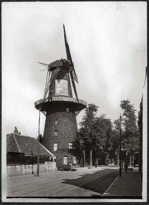 Utrecht, Niederlande. Windmühle "De Adelaar" (Der Adler)