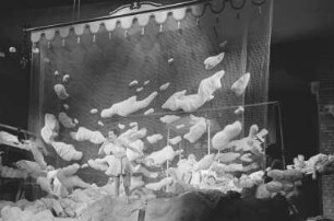 Szenenbilder aus der Operette "Orpheus in der Unterwelt" von Jaques Offenbach an der Komischen Oper Berlin : Szenenbild