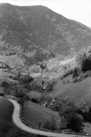 Münsterhalden: Blick ins Tal; nach Münsterhalden