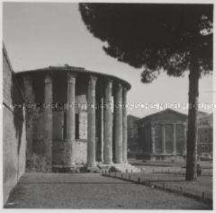 Rom, Forum Romanum, Tempel der Vesta
