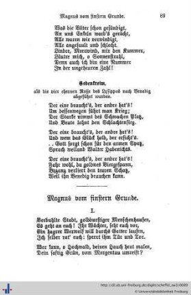 Magnus vom finstern Grunde.