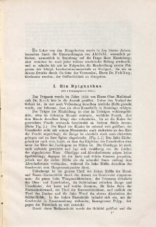 Beitrag zur Casuistik der menschlichen Missgeburten