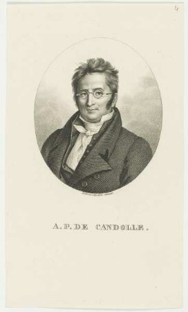 Bildnis des A. P. de Candolle