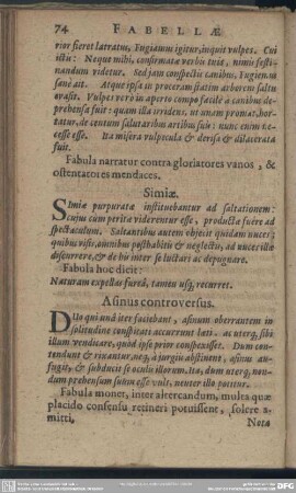 Asinus controversus
