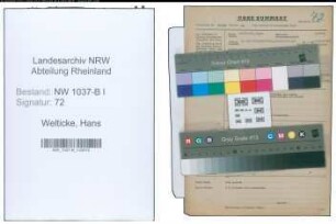Entnazifizierung Hans Welticke , geb. 00.00.0000 (Justizangestellter)