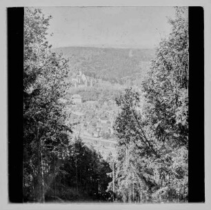 Blick aus Richtung Wartturm auf Wertheim