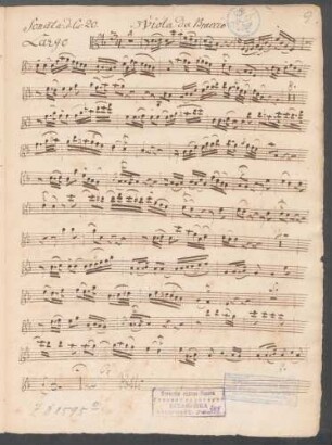 Viola da braccio