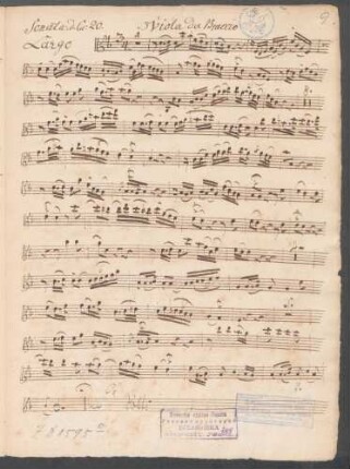 Viola da braccio