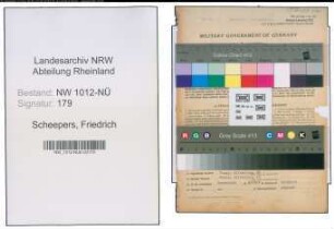 Entnazifizierung Friedrich Scheepers , geb. 12.11.1898 (Landwirt)
