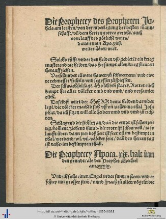 Die Prophecey Apocalypse xix