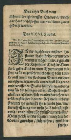 Das XXVI. Capitel.