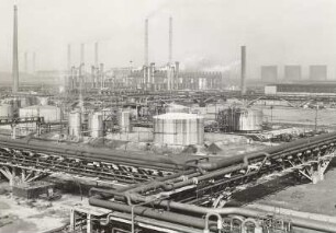 Hoyerswerda, Schwarze Pumpe