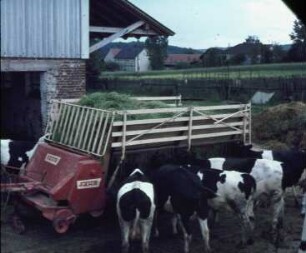 Fotografie: Milchviehhaltung, Futtervorlage, Raufenwagen, Ladewagen