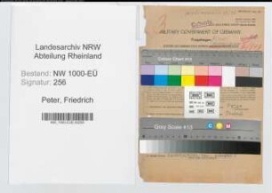 Entnazifizierung Friedrich Peter, geb. 18.09.1895 (Oberzollinspektor)