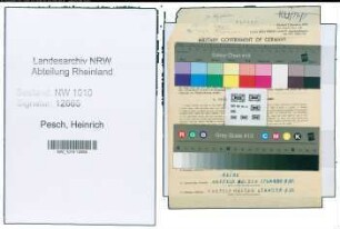 Entnazifizierung Heinrich Pesch , geb. 09.08.1904 (Brandmeister)