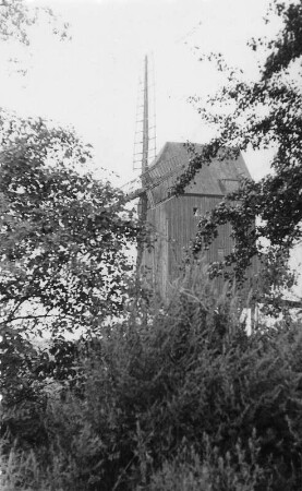 Wermsdorf-Luppa. Blick zur Bockmühle bei Dahlen