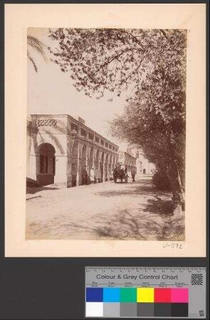 L´Hotel du Sahara à Biskra