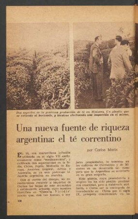 Una nueva fuente de riqueza argentina: el té correntino